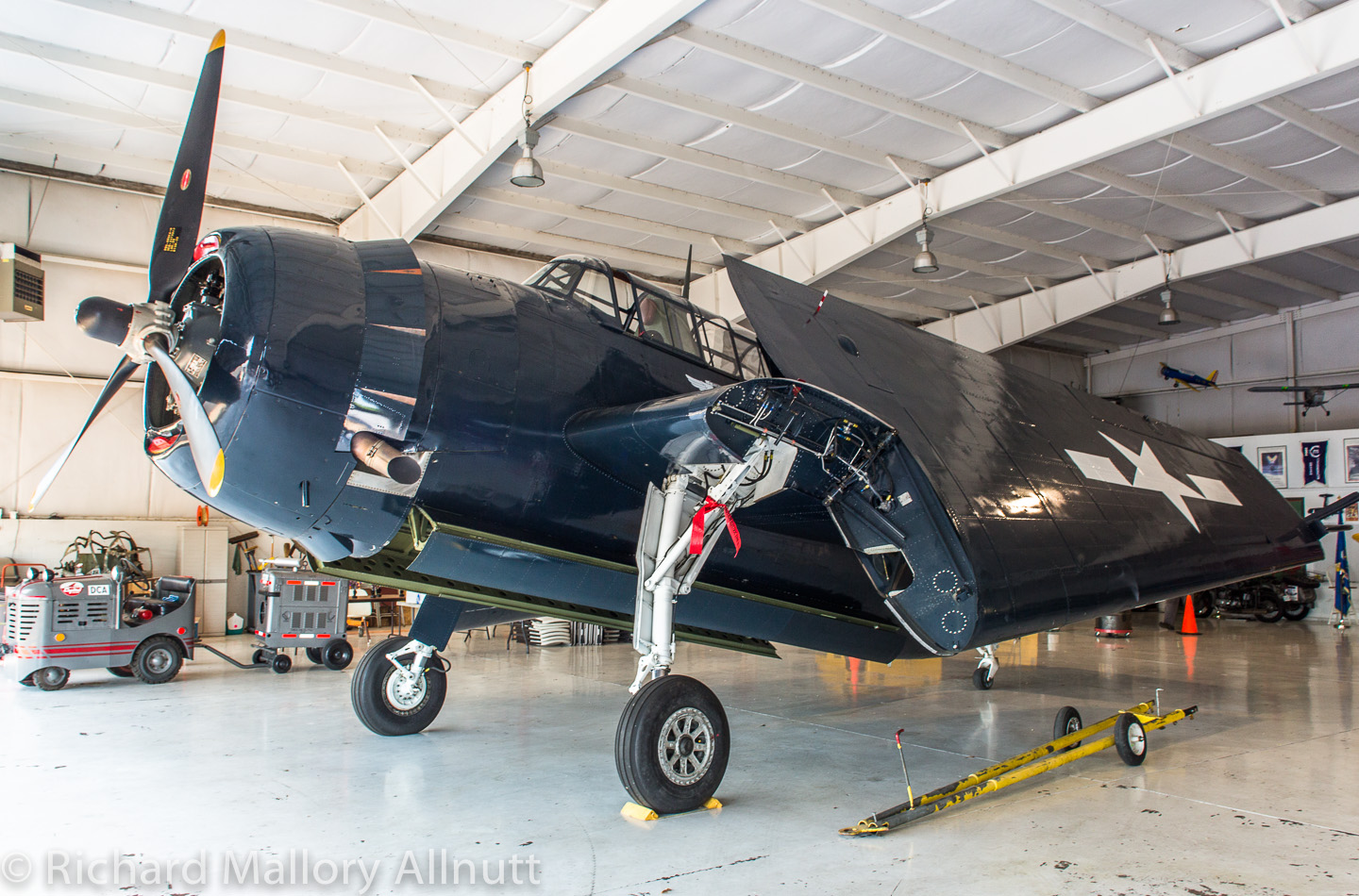 The CAF's freshly refurbished TBM-3E Avenger (Bu.91426) is now home in Culpeper. (photo by Richard Mallory Allnutt)