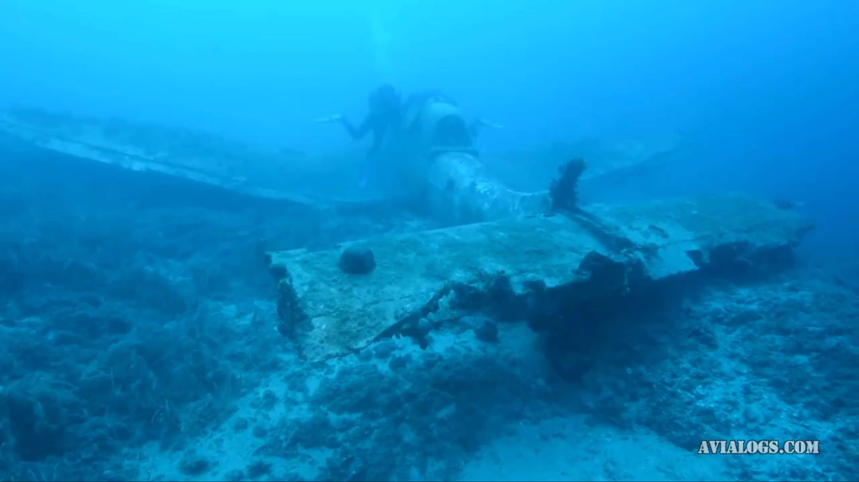 The sunken Stuka in the Mediterranean waters off Croatia. (screen capture from Hrvoslav Pavic video via Avialog.com) 