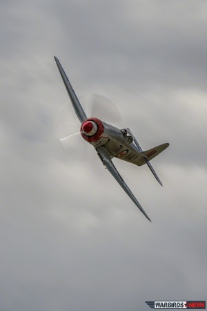 Curt Brown in Sea Fury “Sawbones,” winner of the Silver Heat in the Unlimited Class. (Image Credit: Moose Peterson)