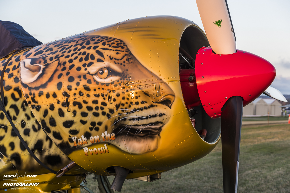 A beautiful nose art adorns this Yak-52 