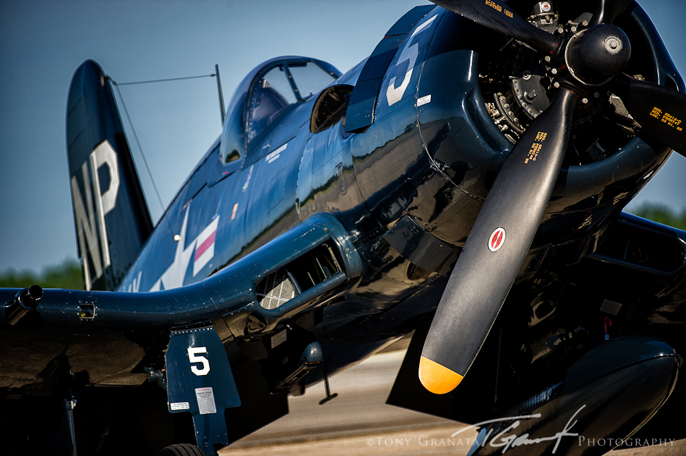 F4U-5 Corsair (Photo by Tony Granata)