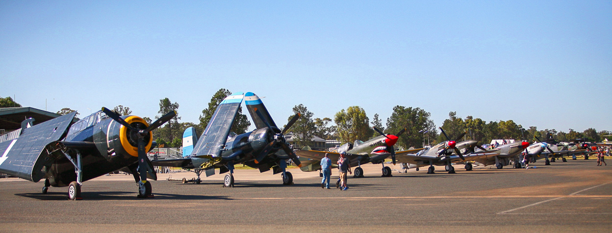 A lineup of some of the fighters for the Temora Aviation Museum's air show in November. (photo by Phil Buckley)
