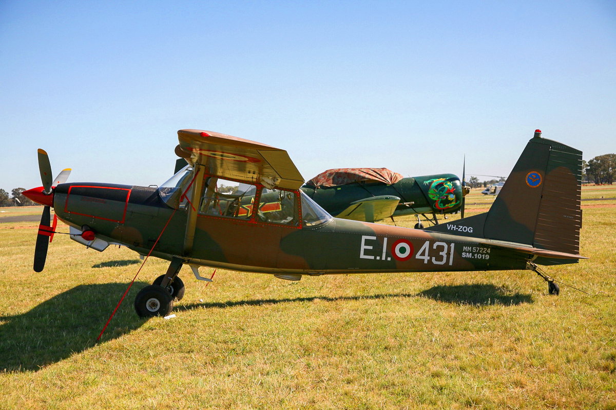 A former Italian Air Force Birddog, one of several O-1 variants at Warbirds Downunder. (photo by Phil Buckley)