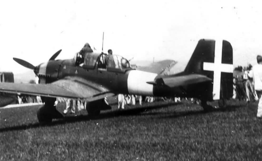 The Italian Stuka, renamed Picchiatello, was in turn assigned to Gruppi 97°, 101° and 102°. 