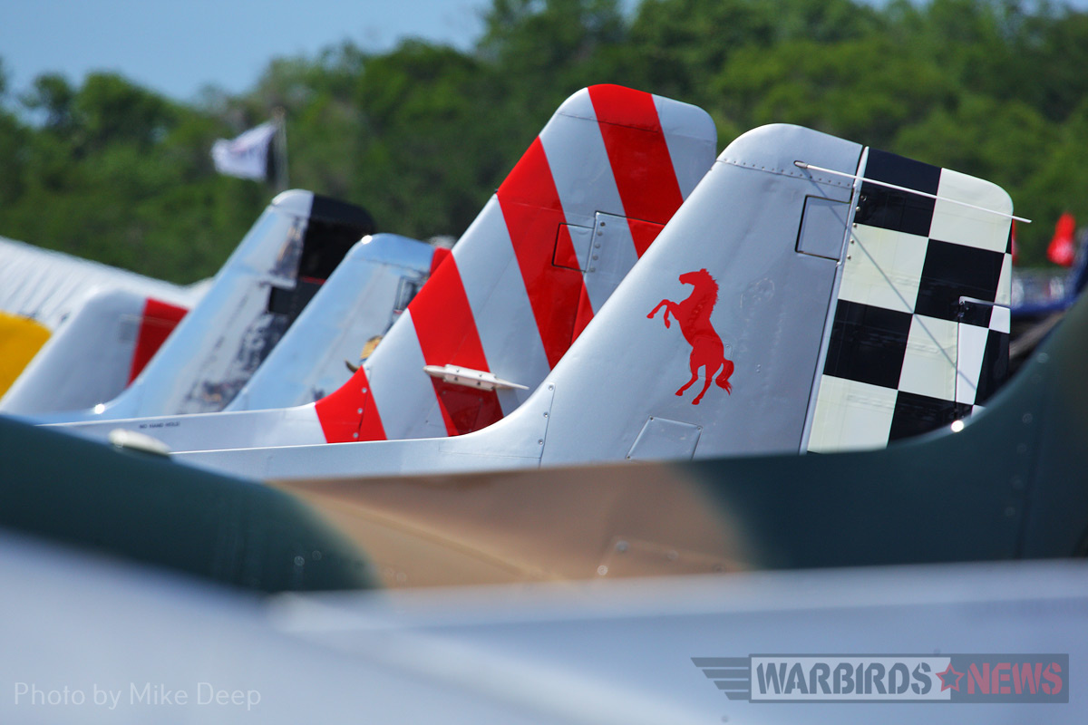 The tails of gathered Mustangs at Sun ‘n Fun as seen on the Warbird Ramp Thursday. 