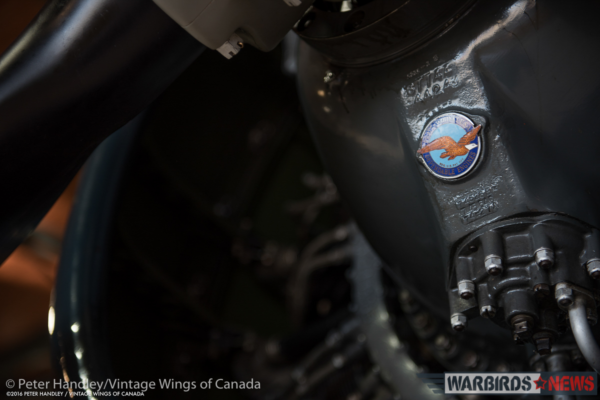 The famous Pratt&Whitney logo on the Corsair's R-2800 engine. (photo by Peter Handley)