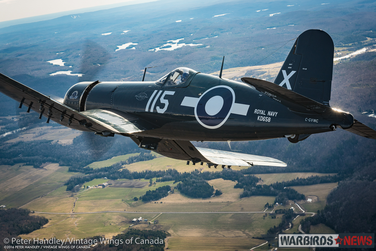Banking the Corsair over nearby farmland. (photo by Peter Handley)